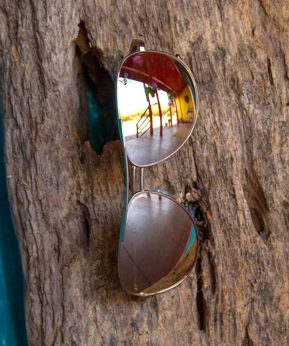 Sunglasses>Crazy Shirts Revo Relay Rose Gold/Champagne - Sunglasses